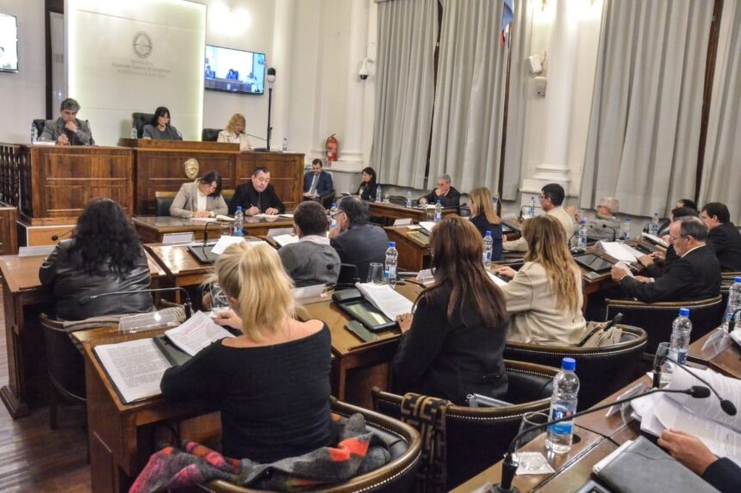 Nueva impugnación en el Senado al pliego de la fiscal interina Josefina Beherán