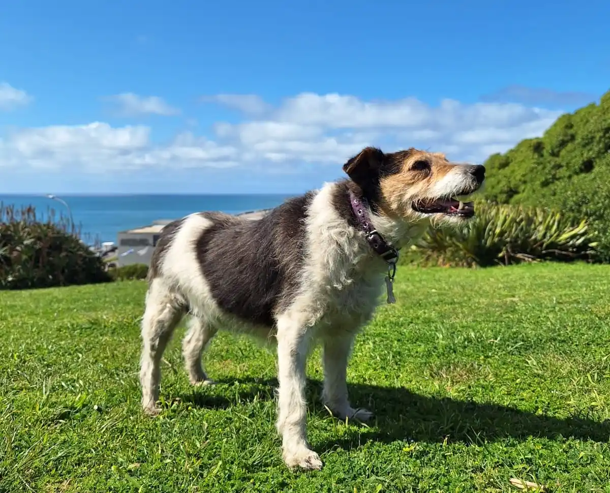 Esta actividad se realizará en el marco del primer dispositivo de Salud en tu Barrio.
