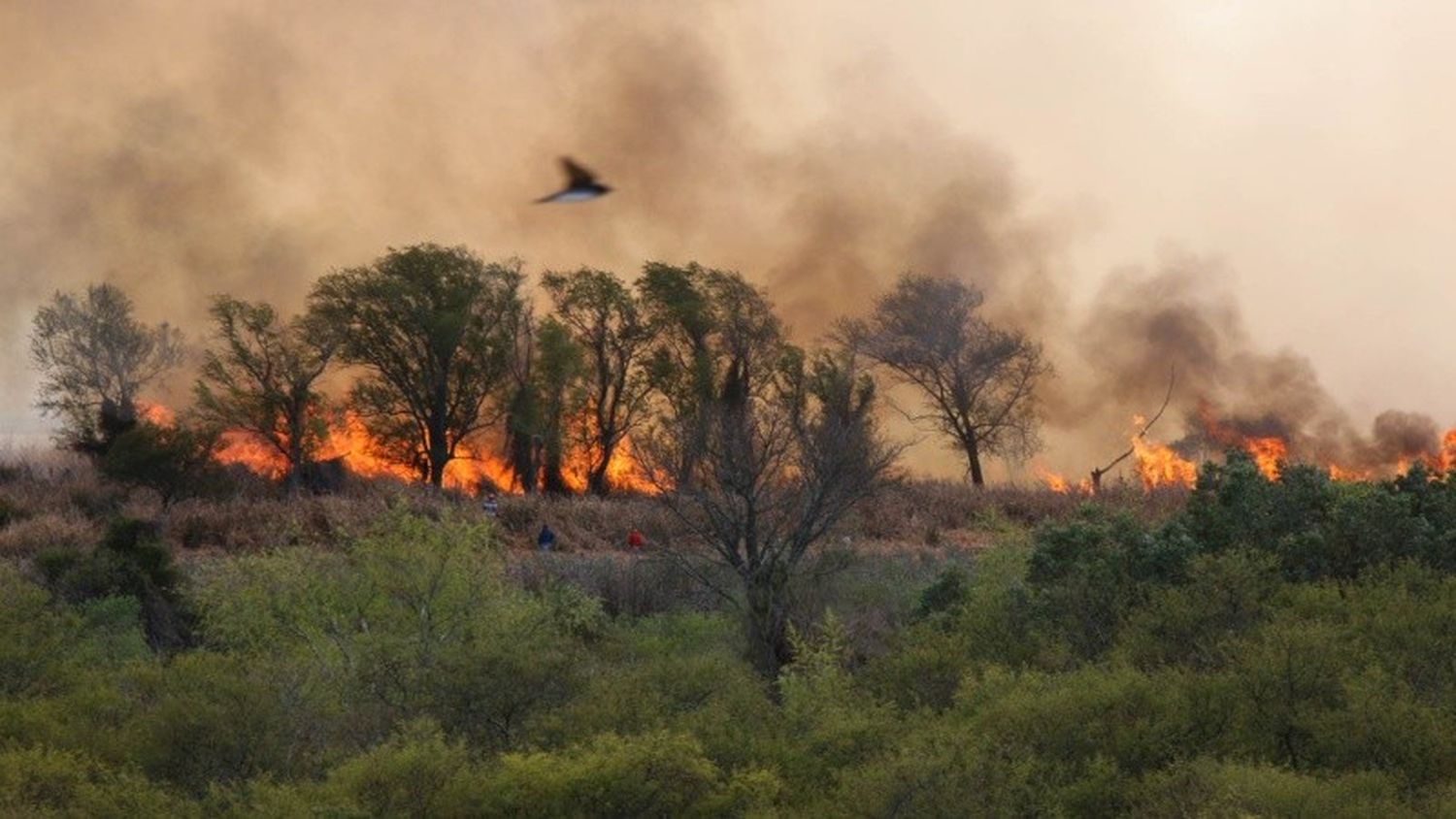 Lluvia de cenizas en Rosario por los incendios en las islas