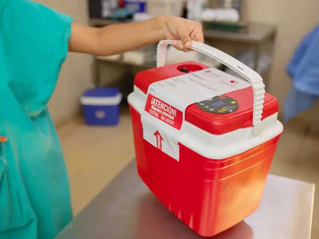 En Entre Ríos más de 110 personas accedieron a un trasplante de órganos en lo que va del año