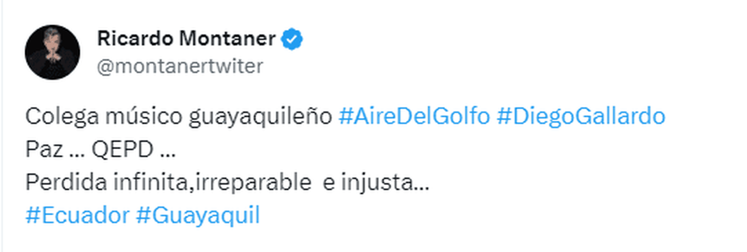 Montaner lamentó la muerte de Diego Gallardo. Foto X
