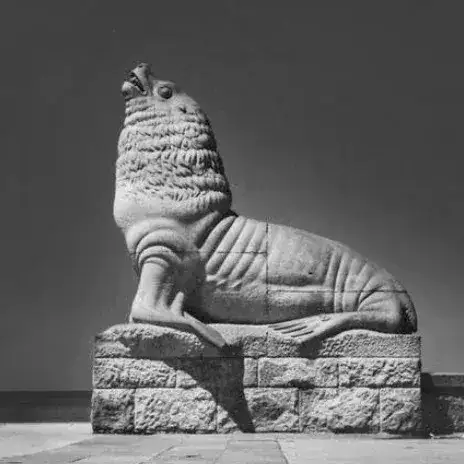 Lobos Marinos