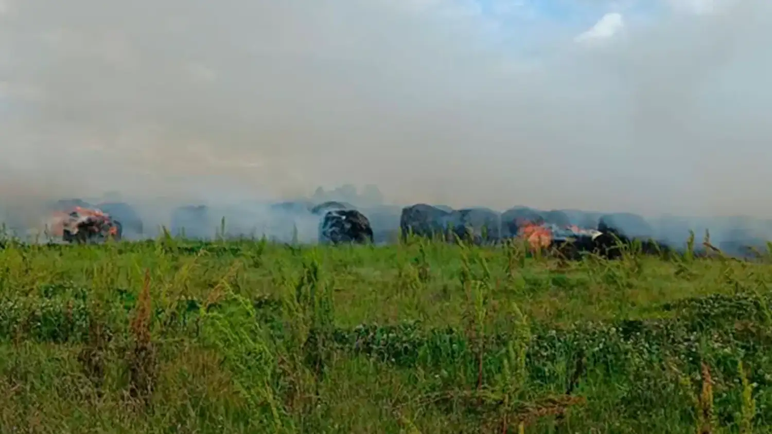 Un incendio forestal movilizó a Bomberos Voluntarios durante casi tres horas - 2
