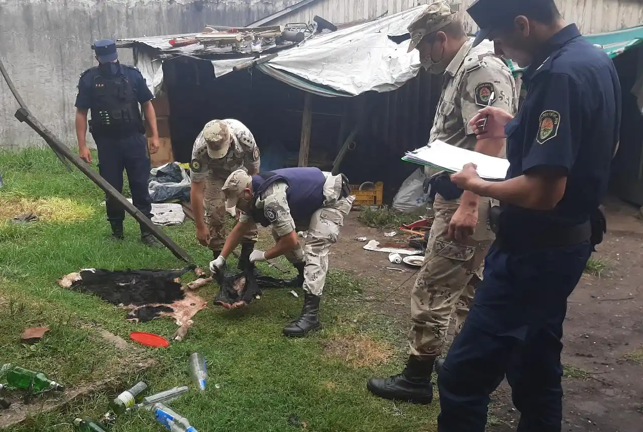 Por un hecho de abigeato, detuvieron a una persona y secuestraron varios elementos