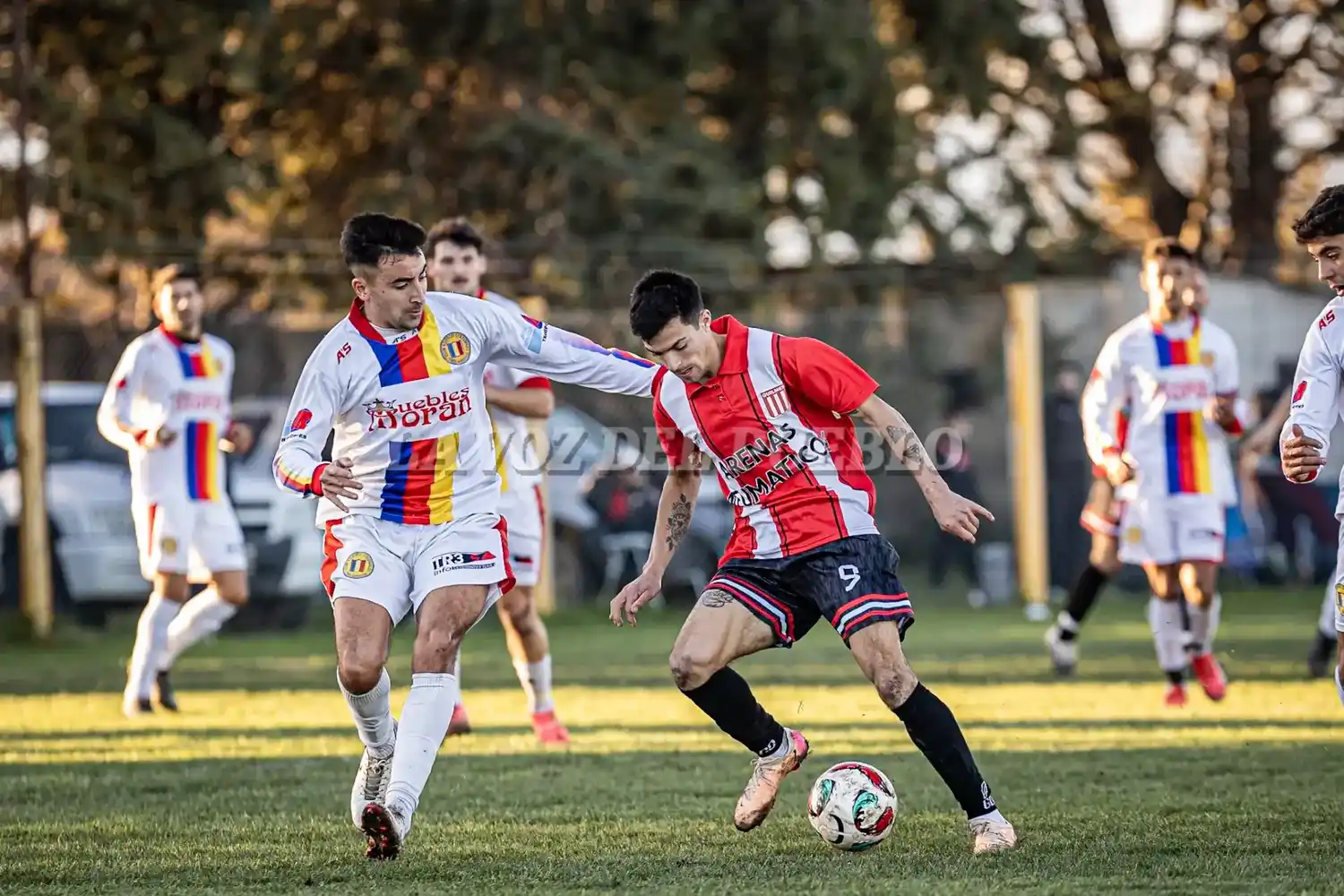 quilmes-cole - 5