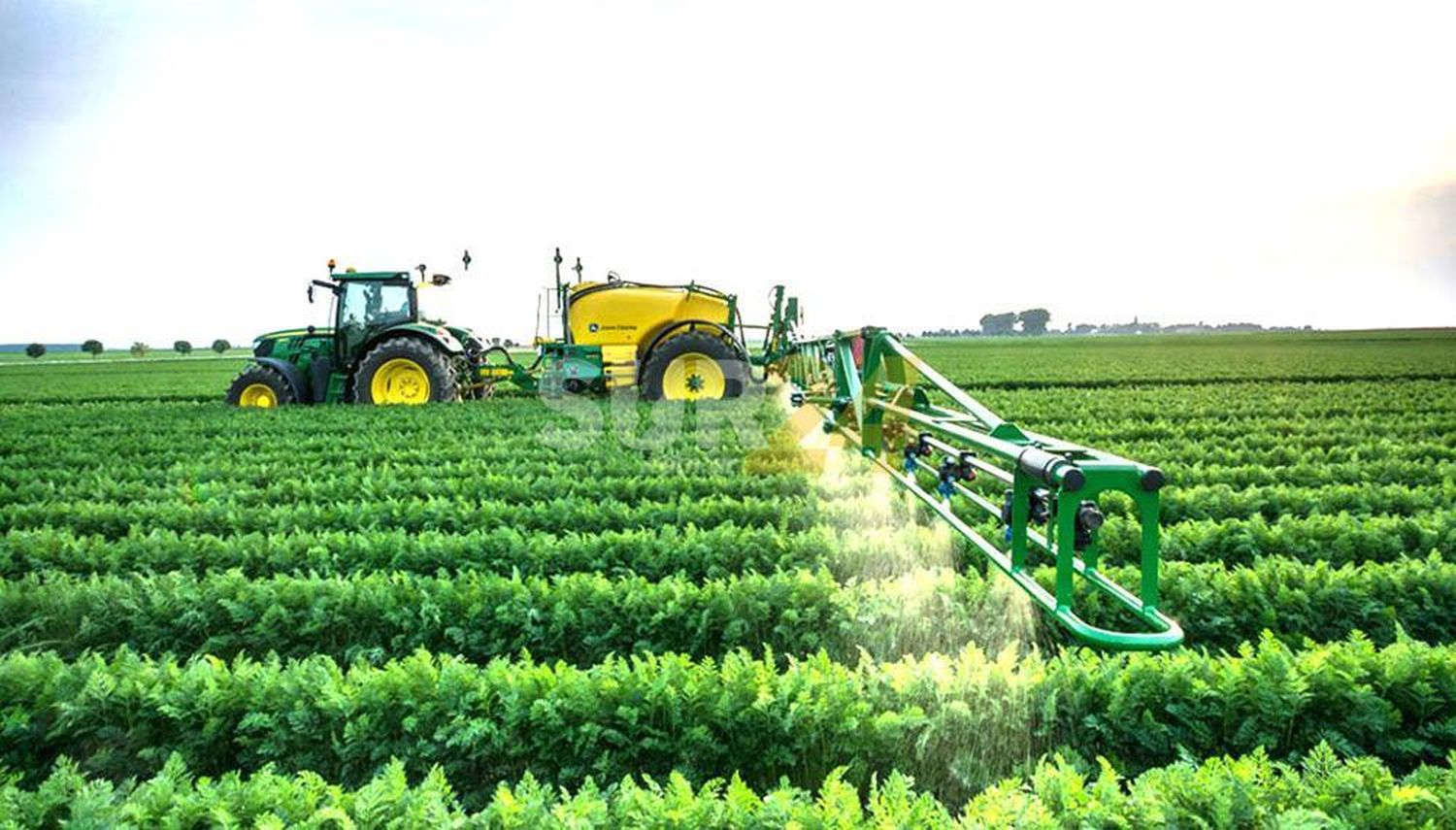 Roban 500 litros de agroquímicos en un campo de María Teresa