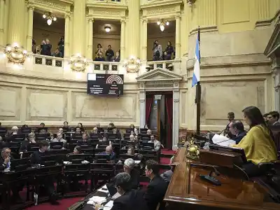El Senado sesionará este jueves para tratar los vetos del Garrahan y universidades