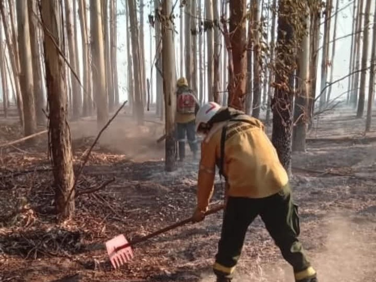 Controlan un incendio forestal en Estación Yeruá: 60 hectáreas afectadas