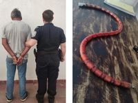 Le quisieron secuestrar la moto y los golpeó con el candado: está detenido