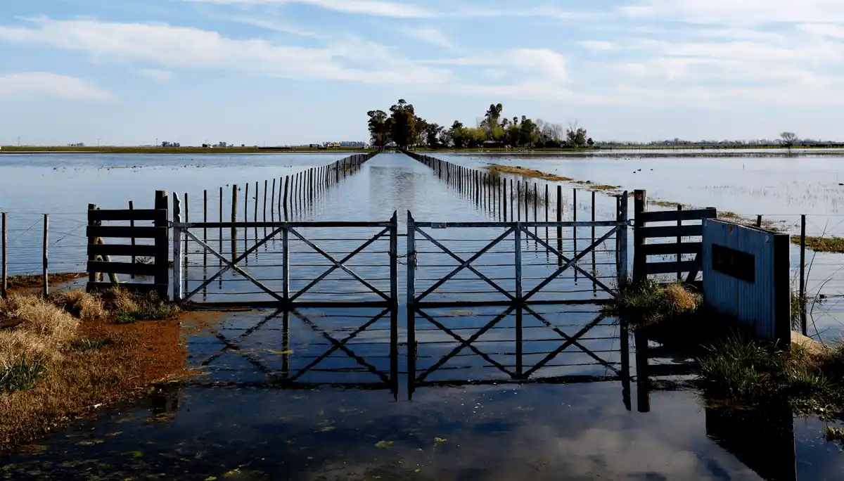Gran parte del campo bajo el agua: desde el gobierno de Buenos Aires acusaron a la Nación por la paralización de las obras