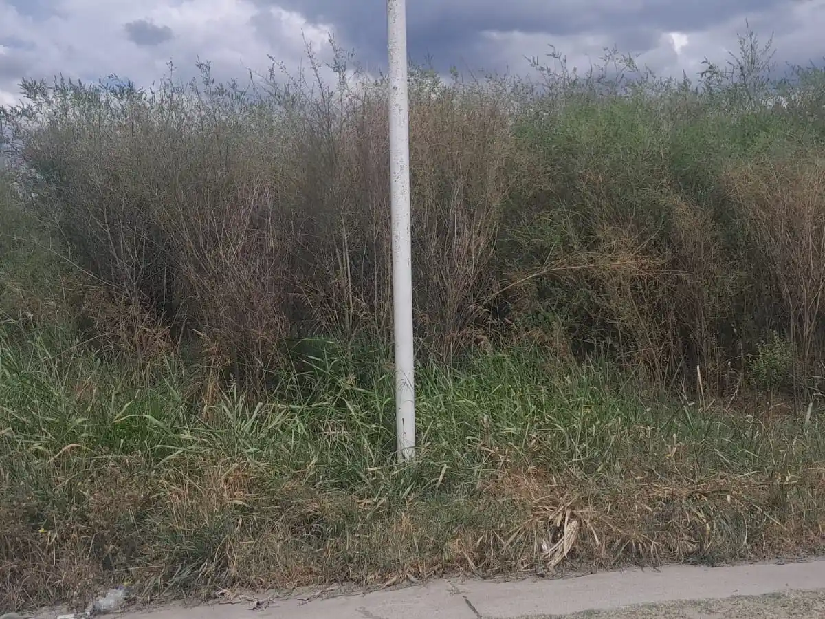 Baldios Trabajadores Municipales y Córdoba - 4