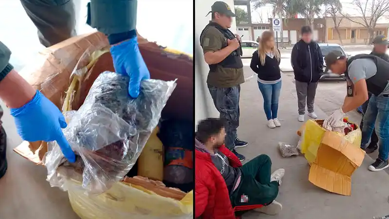 Fueron a retirar una encomienda y quedaron detenidos: qué había en los paquetes