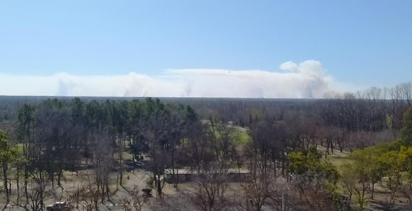 Incendios en islas: el Gobierno local pidió a la Justicia que “se sensibilice” y actúe ante el tema