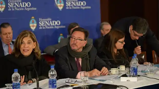 Claudia Mizawak criticó el Proyecto de Ley del Arrepentido aprobado en Diputados