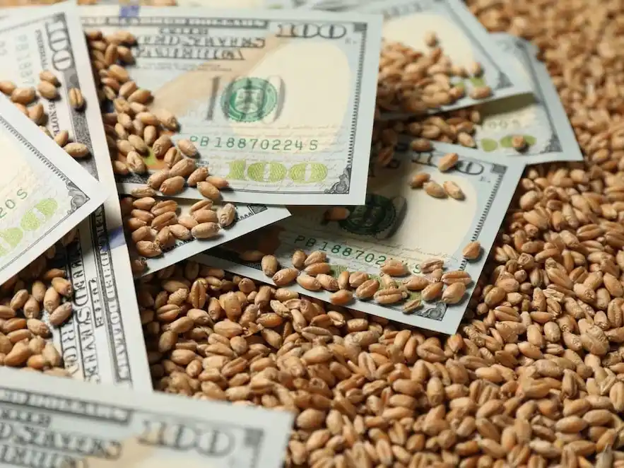 La actividad de la cadena agropecuaria alcanzó un nuevo máximo histórico