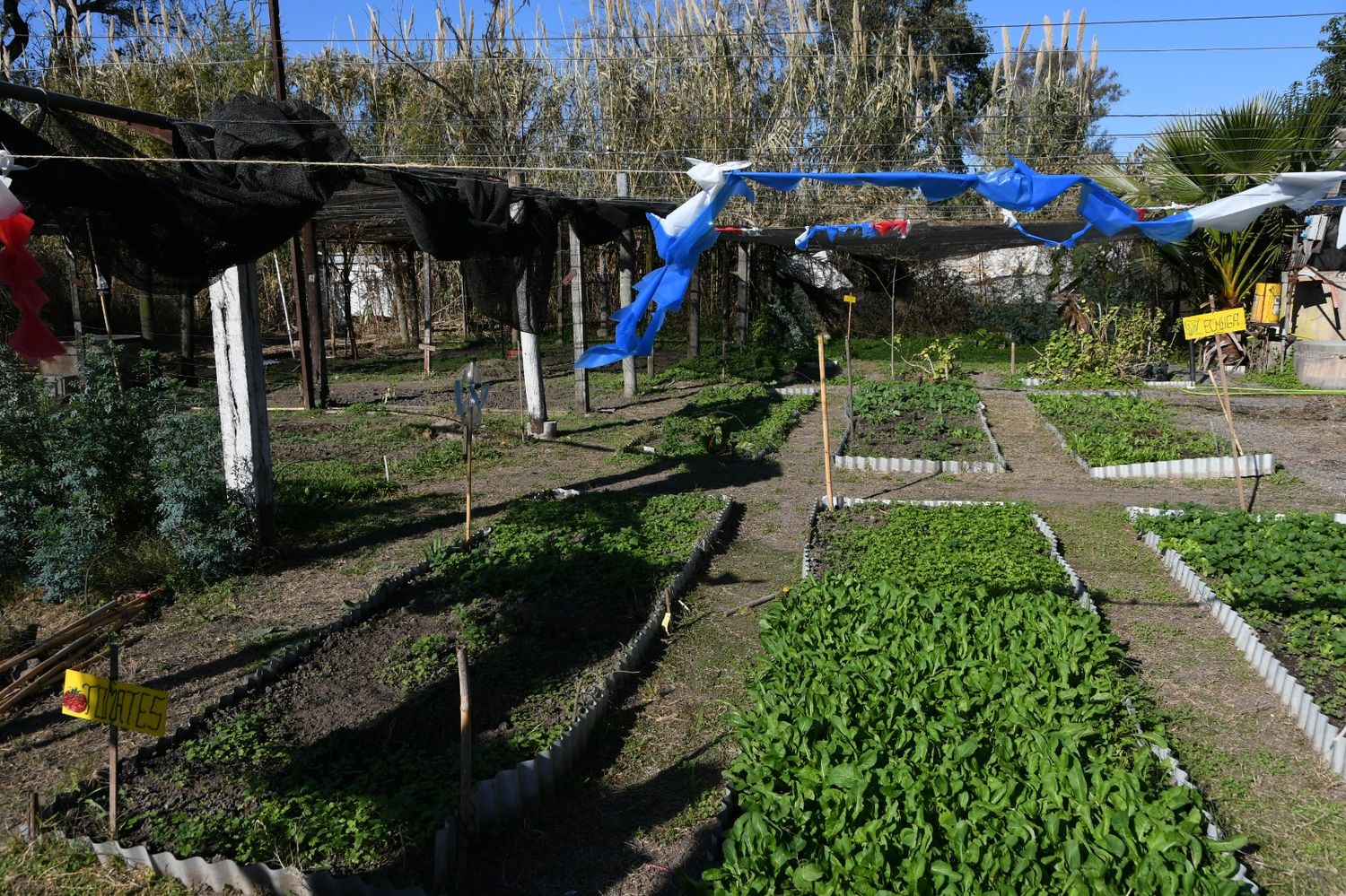 huerta Mujeres con Oficios