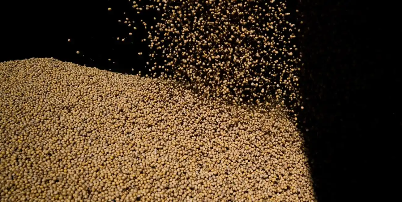 Las exportaciones de granos y subproductos del agro totalizarían en 2025 US$ 31.564 millones de dólares, un 2% por encima del registro del año anterior y prácticamente en línea con el promedio de los últimos cinco años.