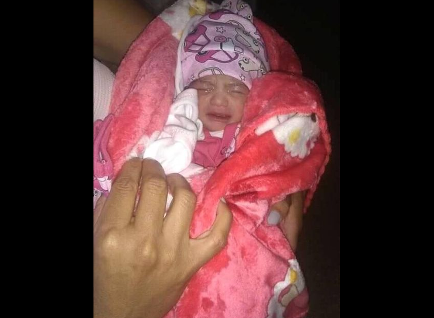 Nacimientos: bienvenida, Melody