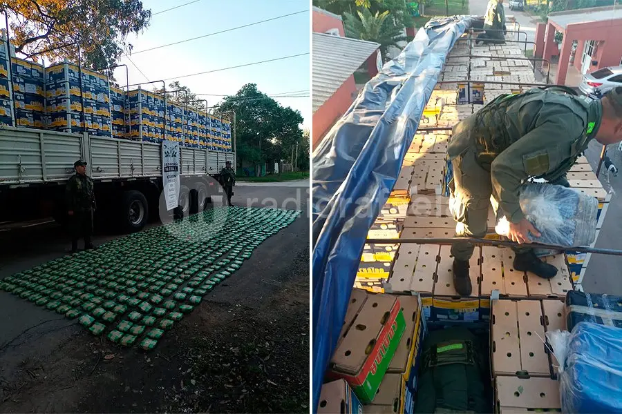 Eso no es limón: detuvieron en Rafaela a un camión con 200kg de hojas de coca entre los limones