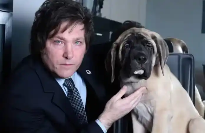 La Cámara de Diputados comenzará a tratar la "Ley Conan"