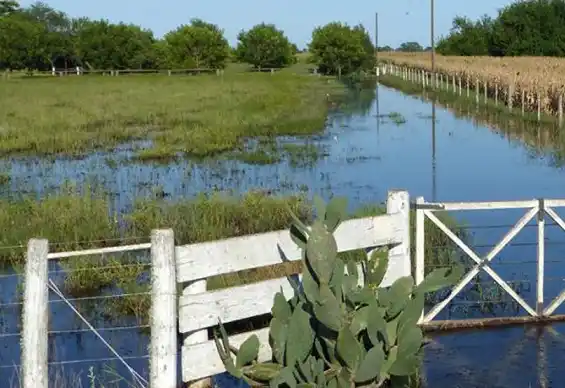 El Gobierno y el campo se vuelven a reunir para discutir el impuesto Rural