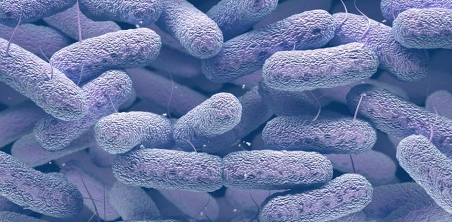 Exploran nuevas estrategias para combatir bacterias resistentes a los antibióticos