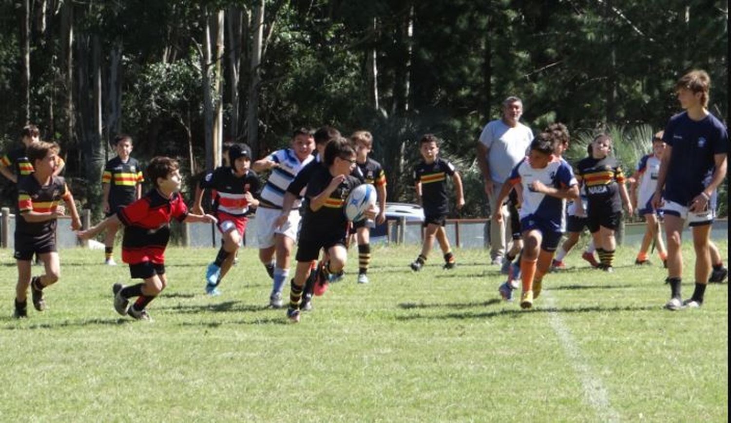 Cientos de chicos de distintos puntos de Entre Ríos disfrutarán a una jornada a puro rugby (crédito: Dirección de Deportes).