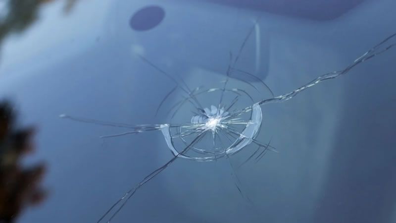 La policía irrumpió en una fiesta clandestina y la recibieron de la peor forma