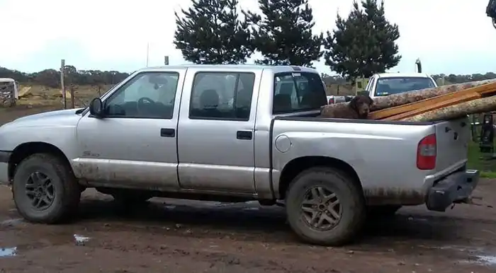 Regresó a su casa y escuchó cómo le robaron la camioneta