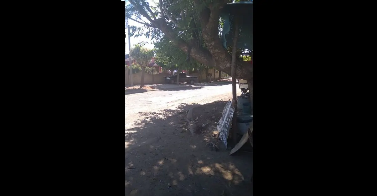Reporte: “Estaciona su camioneta arriba de la vereda”