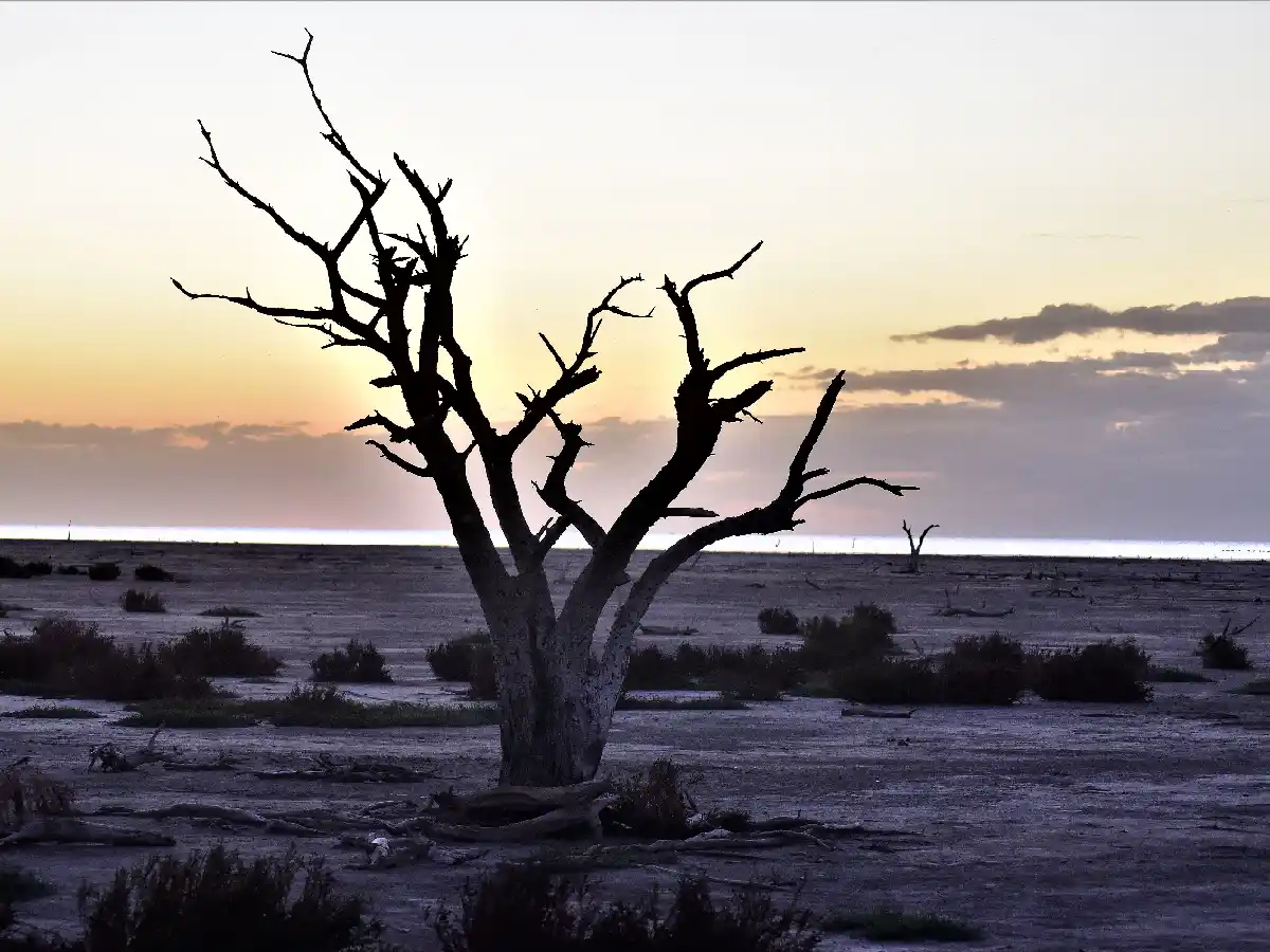 Qué significa que Ansenuza ya sea Parque Nacional