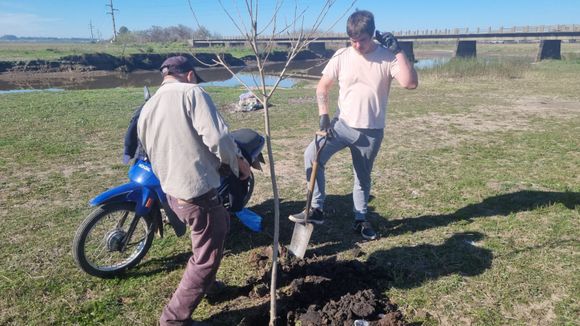 Paseo Arroyo El Tala: así trabajan los vecinos que comenzaron a plantar los árboles para el espacio recreativo