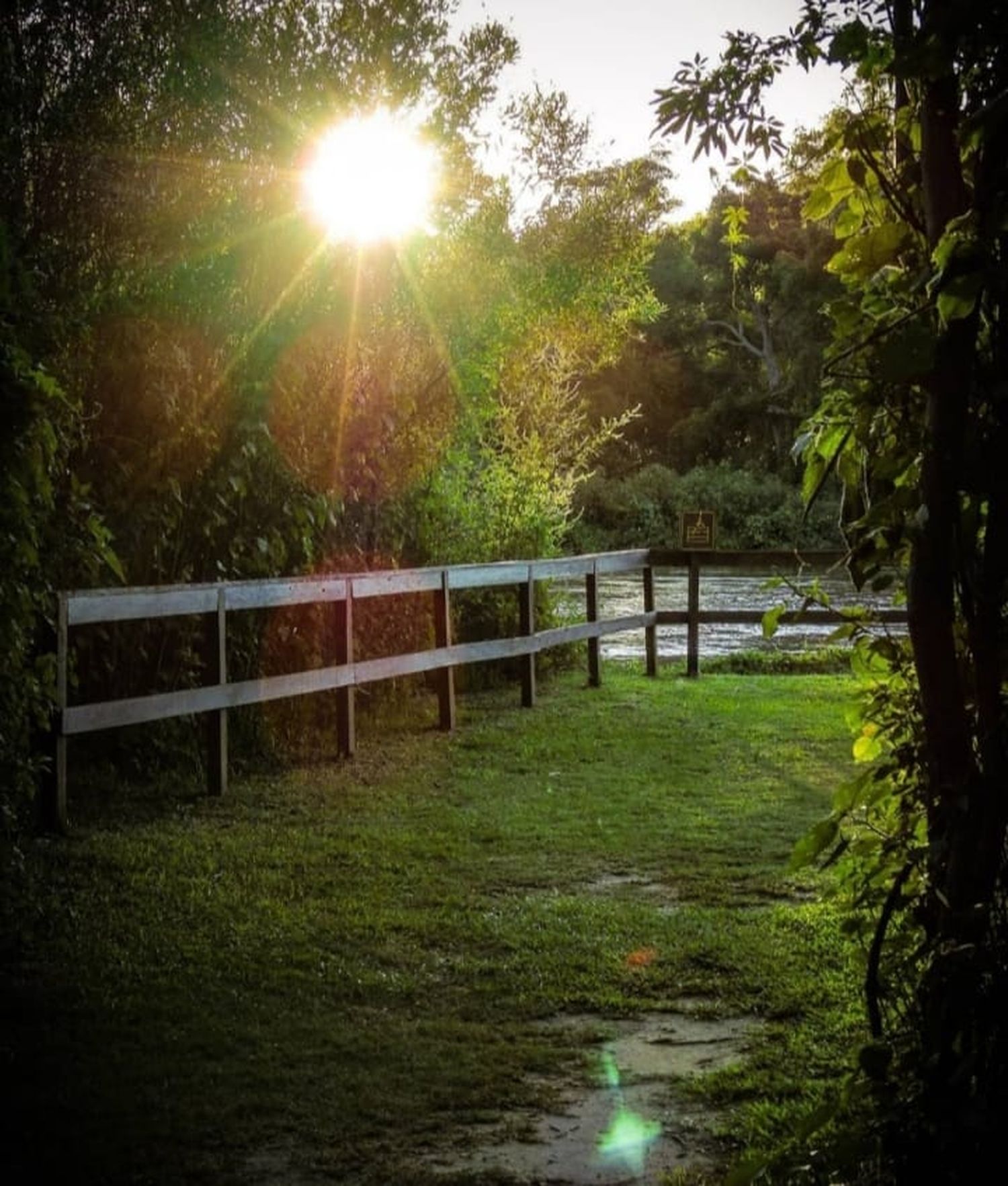 El Parque Nacional Pre Delta reabre sus puertas el 16 de enero