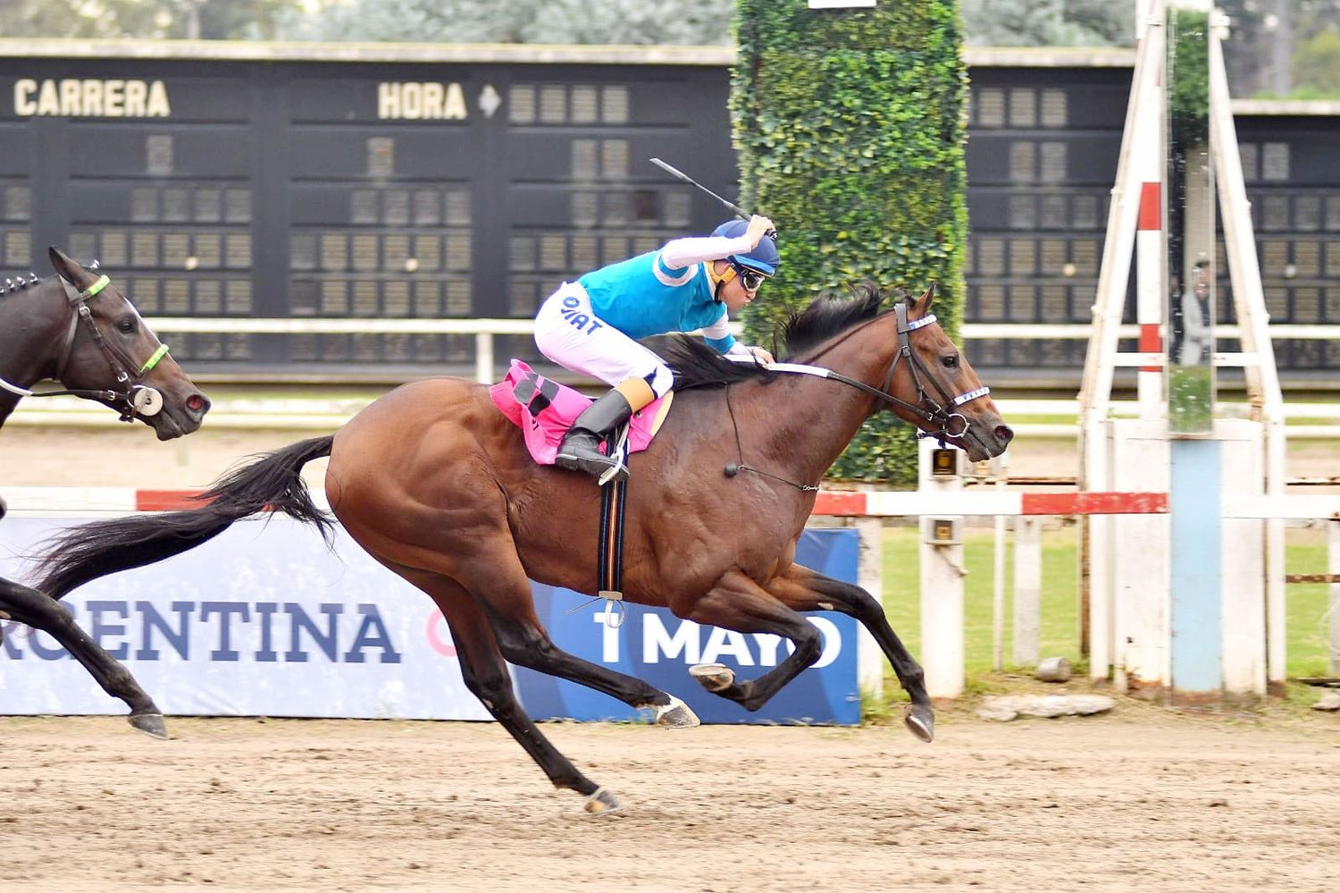 Tras ganar el Montevideo (G1), Holy Joy vuelve en el Cané (G2) de Palermo pensando en la Polla de Potrillos (G1)