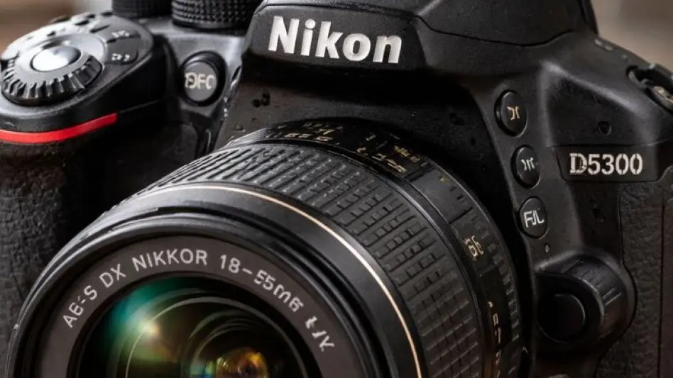 Le robaron el equipo de trabajo: fotógrafa busca recuperar sus cámaras