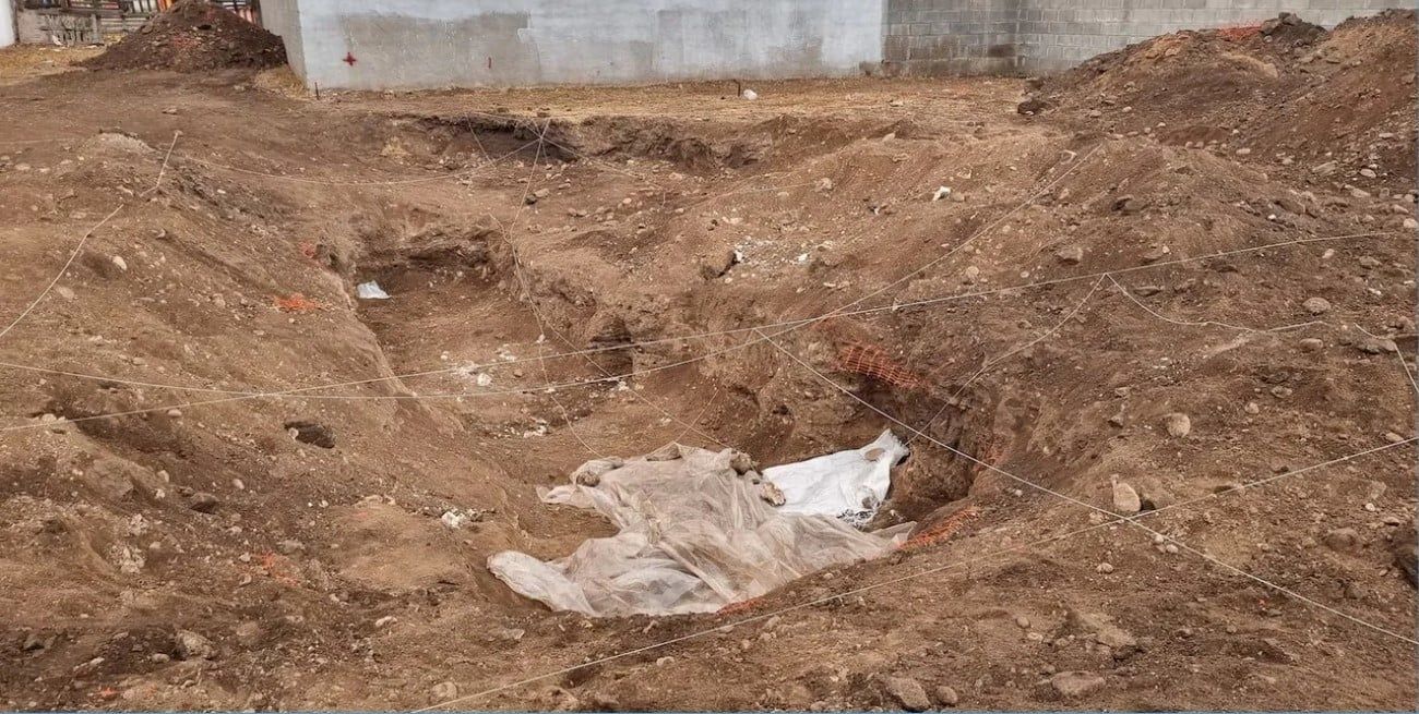 Increíble: encontraron una fosa común con más de 20 cadáveres en Campo de la Ribera de Córdoba