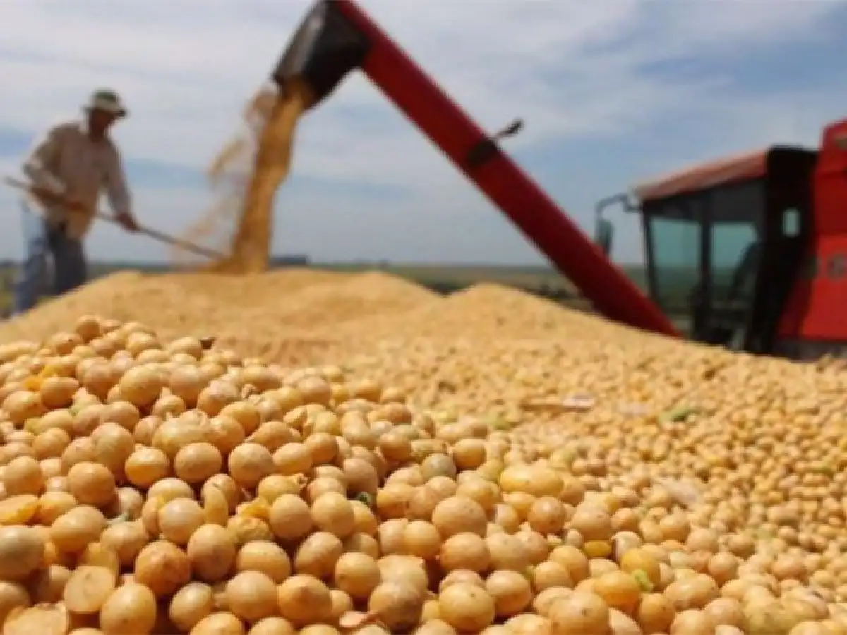 El campo en alerta por temor a una suba de 3 puntos para las retenciones a la soja