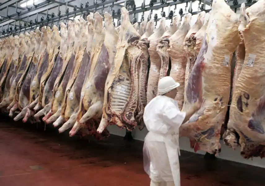 Carne: los frigoríficos cedieron a la presión del Gobierno