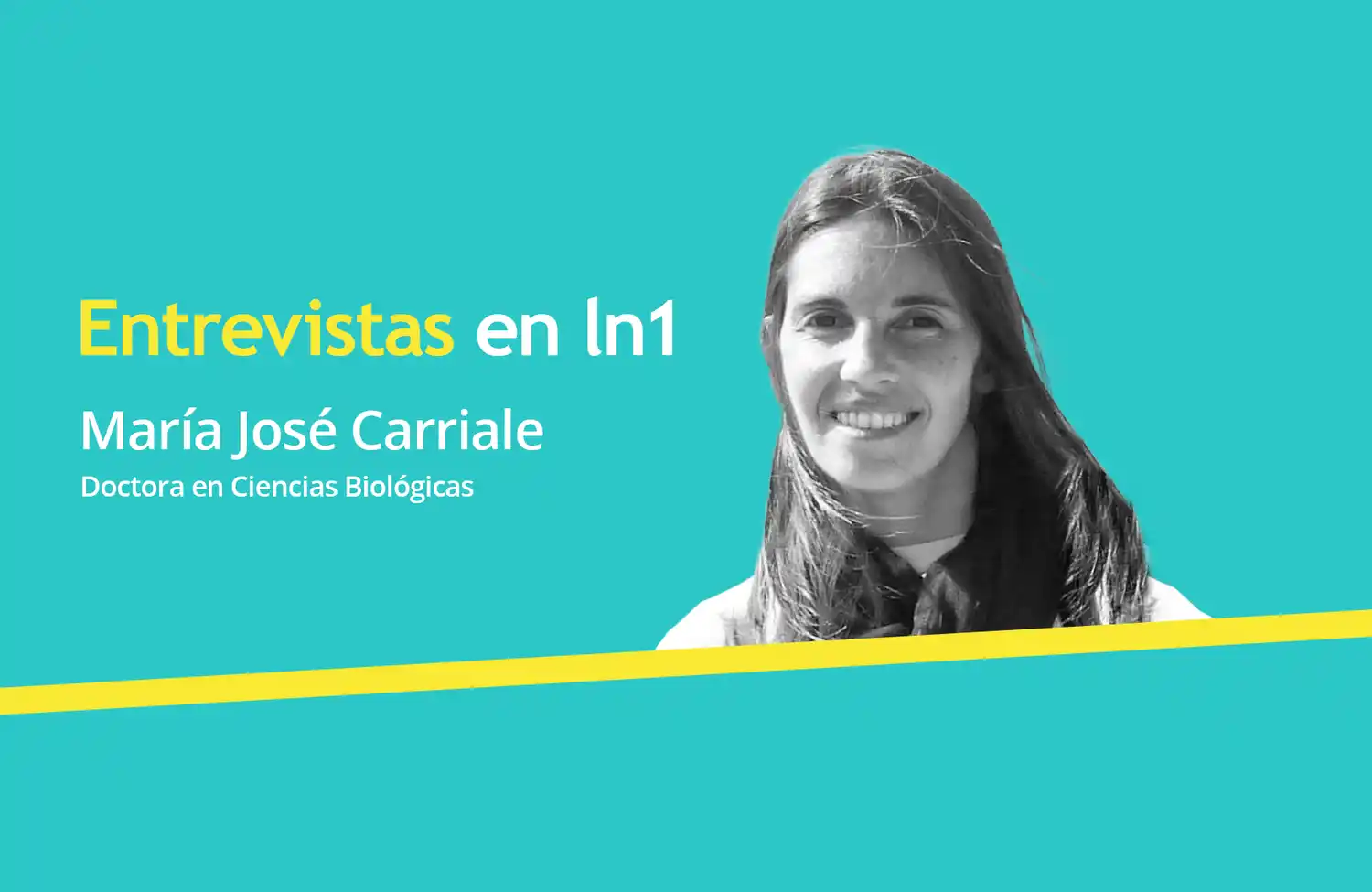 Carpinchos, humedales, construcciones privadas y pandemia: Los factores que alteraron a los roedores de Nordelta