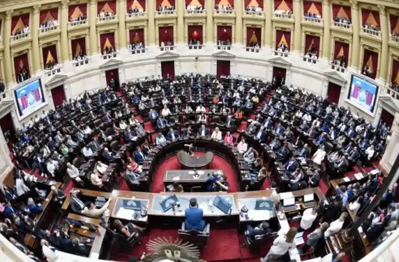 Diputados rechazó el veto del Ejecutivo a las leyes de financiamiento en pediatría y universitario