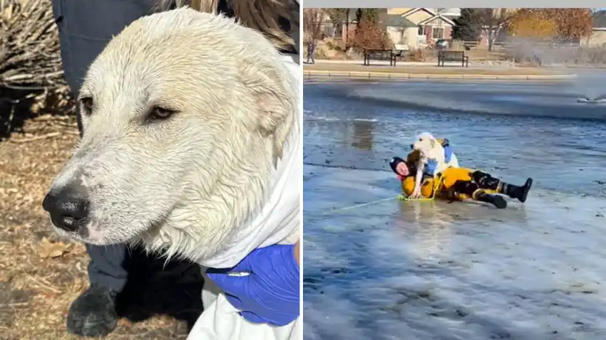 Heroico rescate en Colorado, EEUU.