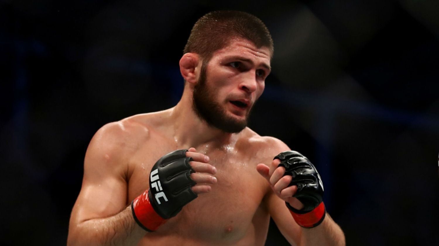 Se conocen las razones por las que Khabib se habría negado a entrenar a Elon Musk para su pelea