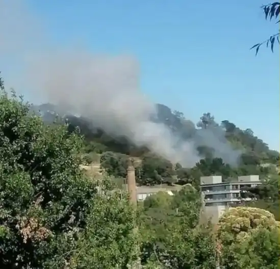 Imágenes capturadas por vecinos de la zona.