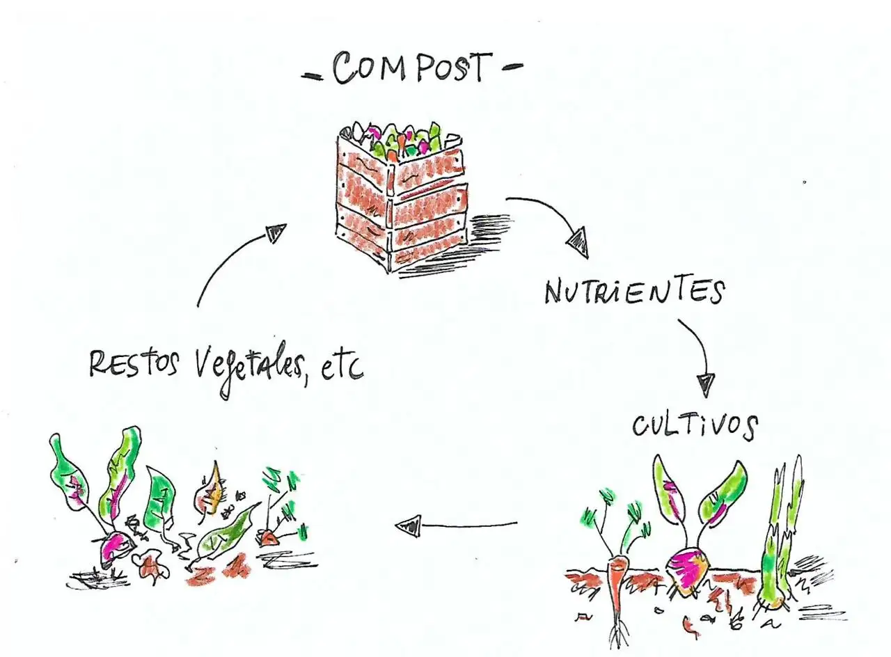 reciclado orgánico
