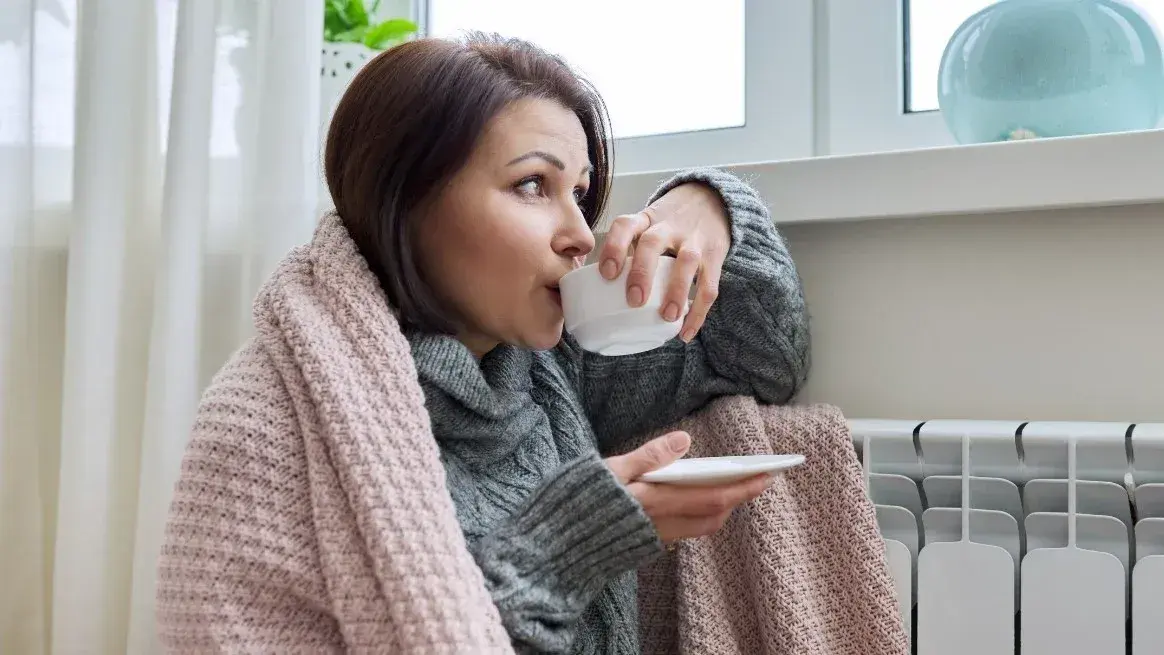 Cómo calefaccionar la casa sin estufas: el método que reduce el gasto a cero en invierno