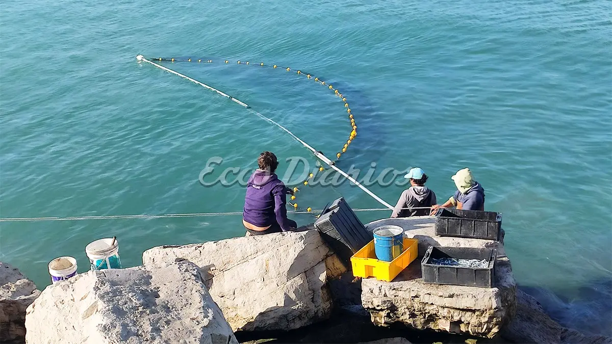 El arte de la pesca de cornalitos desde la Escollera de Quequen