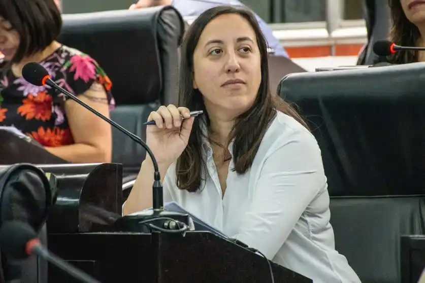 Sotolano sobre el FMI: “Autorizamos al gobierno a tomar deuda”, dijo la diputada de Juntos