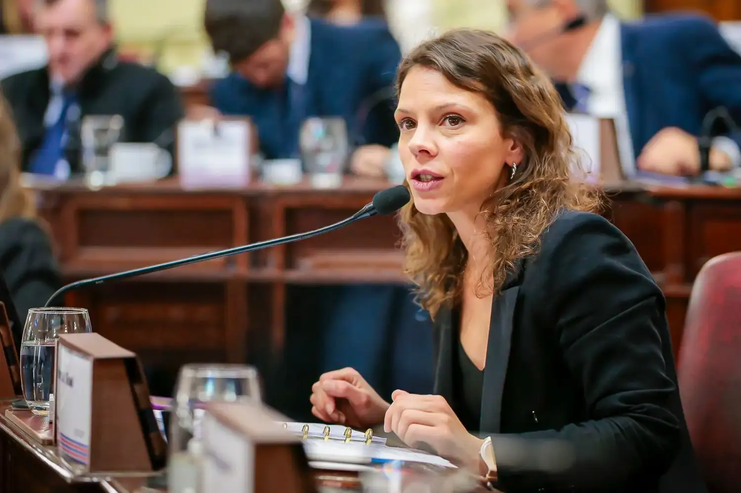 Gisel Mahmud: “El crédito ya no es para progresar, es para sobrevivir”