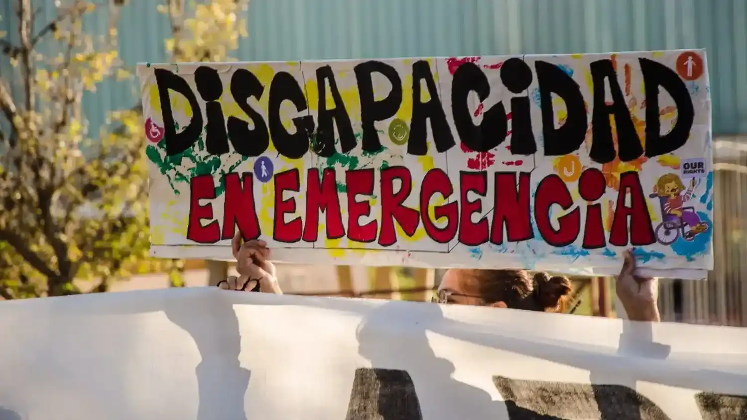 El Gobierno reglamentó la ley de emergencia en discapacidad