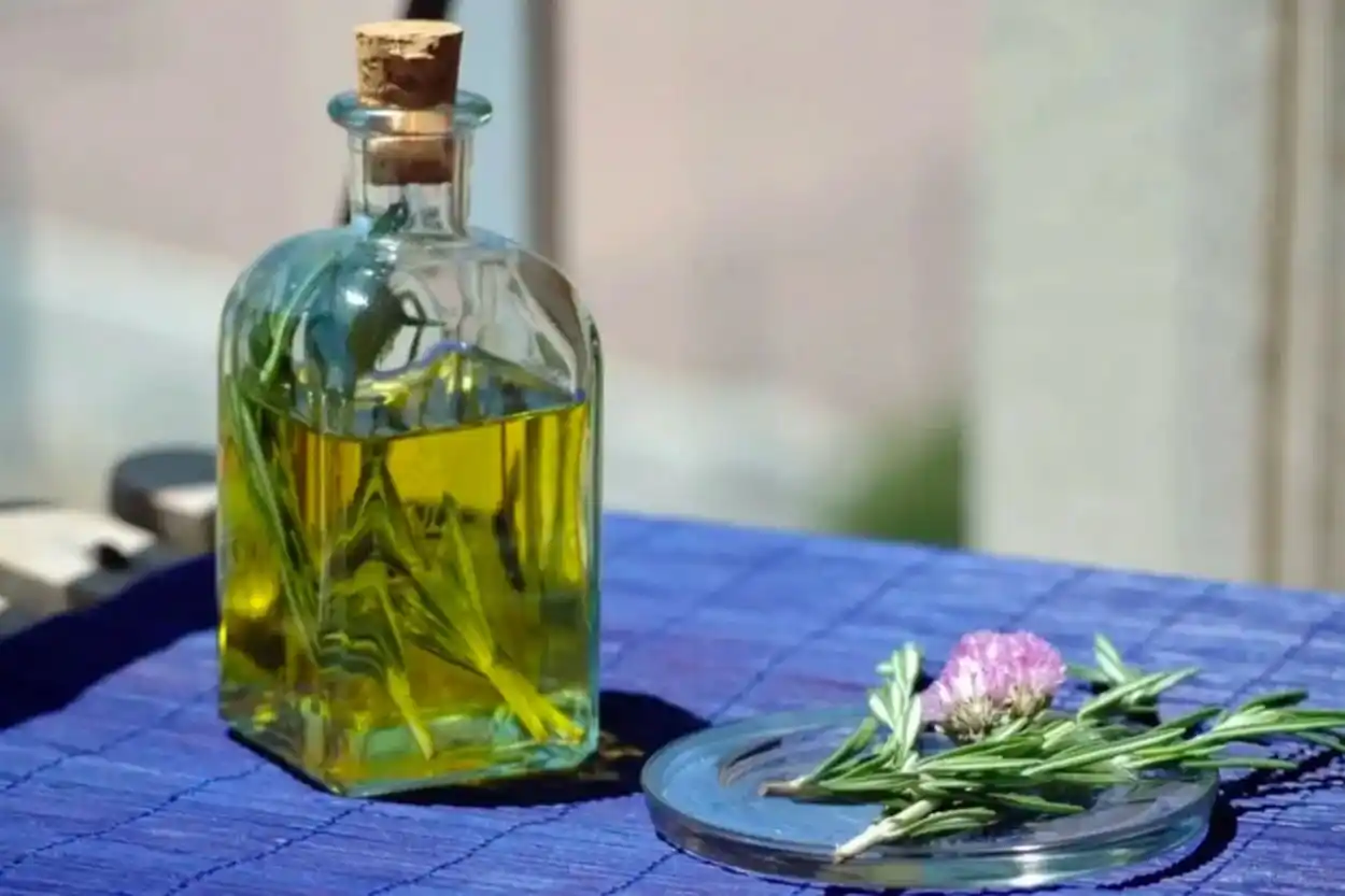 Bienvenido agosto: ¿por qué se toma caña con ruda el 1 de agosto?